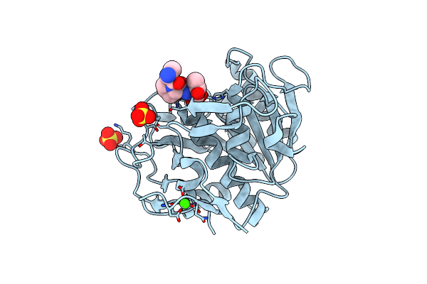 2B6N image