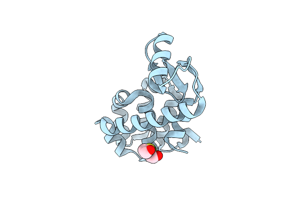 2B70 image