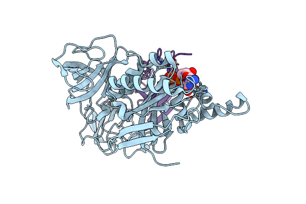 2B7B image