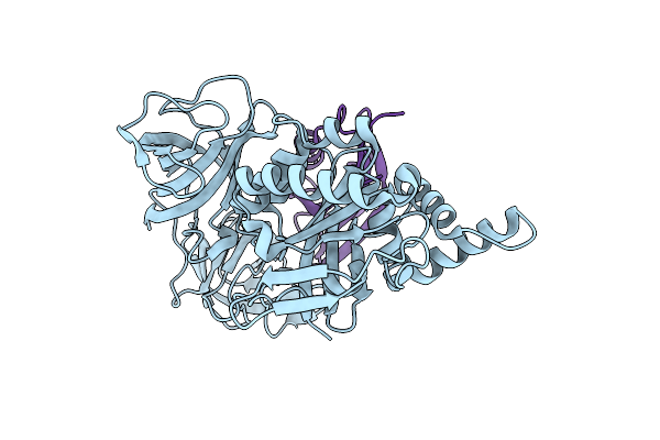2B7C image