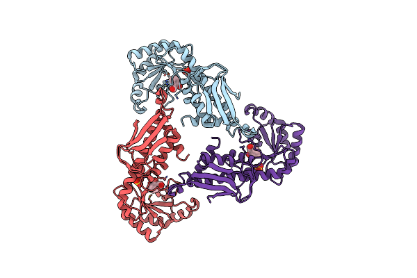 2B7P image