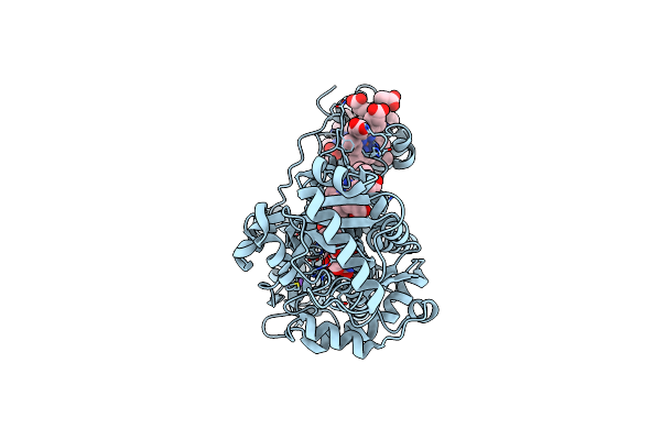 2B7R image