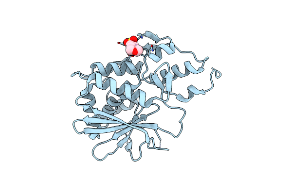 2B7U image