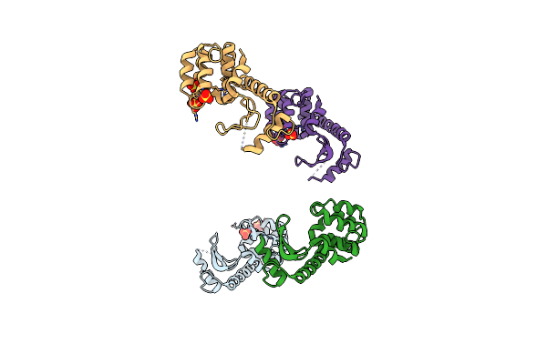 2B7X image
