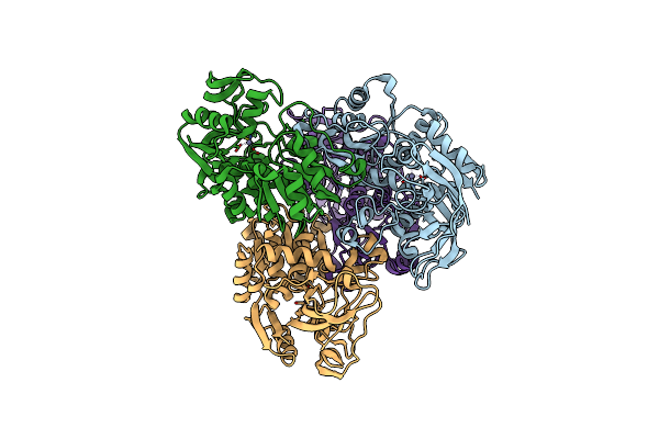 2B83 image