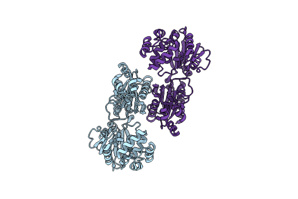 2B8N image