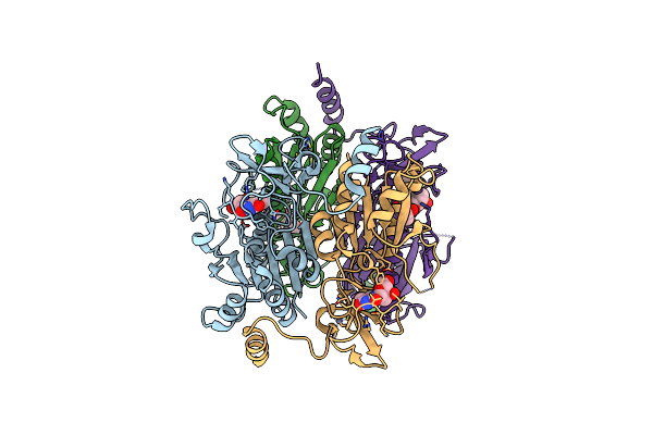 2B8T image