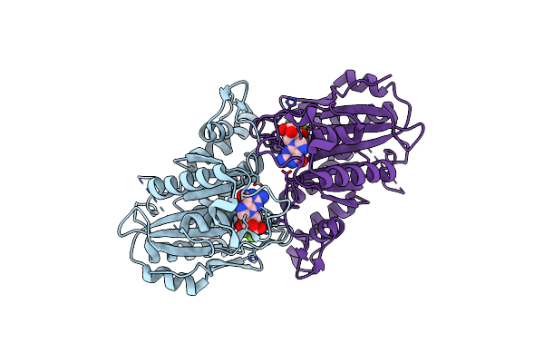 2B8W image