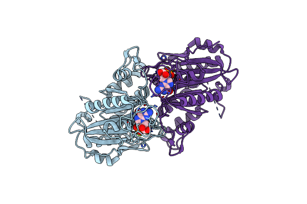 2B92 image