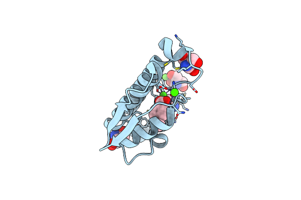 2B96 image