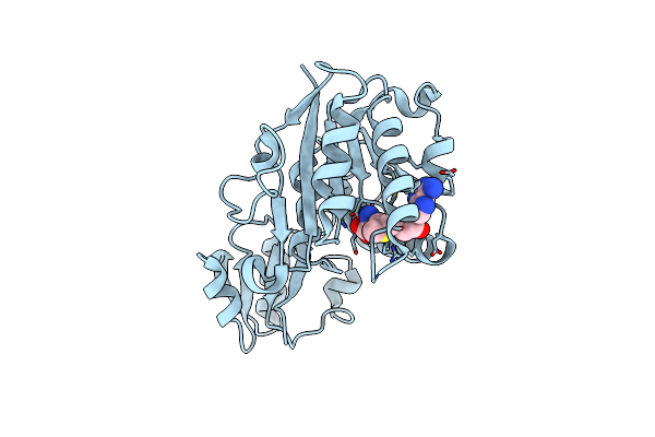 2B9E image