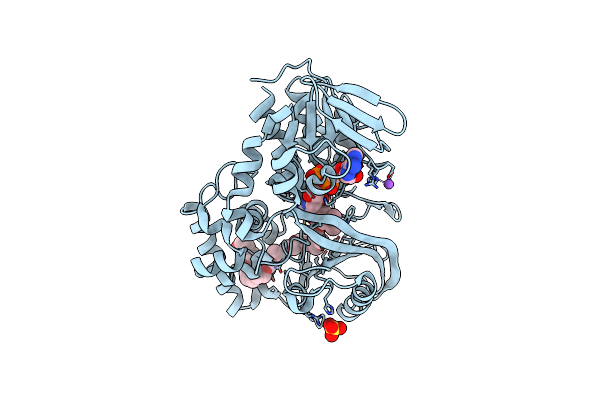 2B9W image