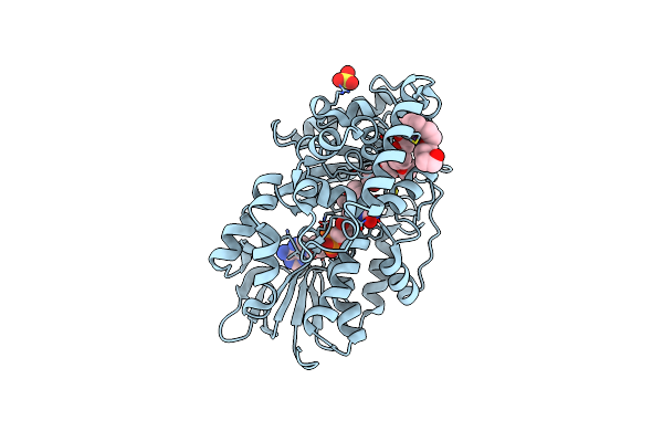 2B9X image