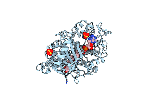 2BAC image