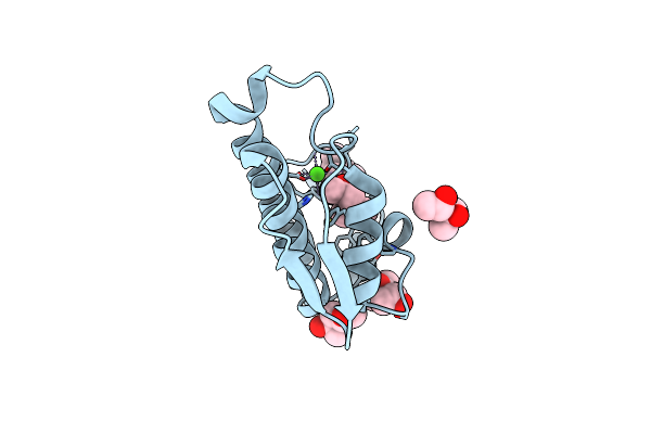 2BAX image