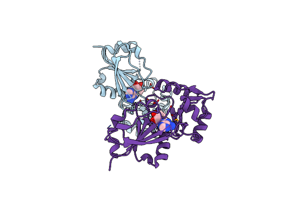 2BB3 image