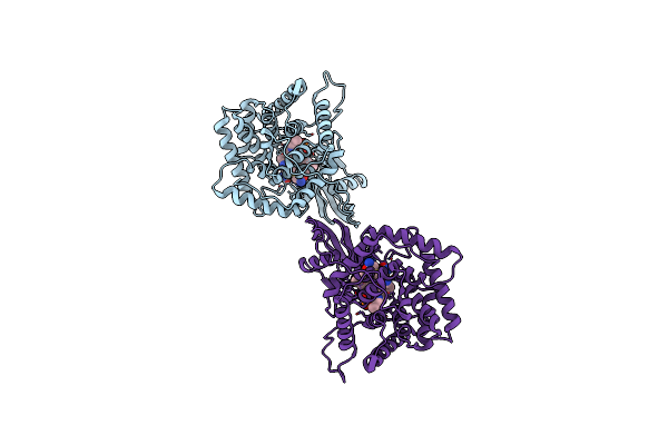 2BB5 image