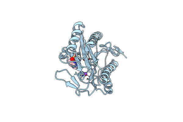 2BB7 image