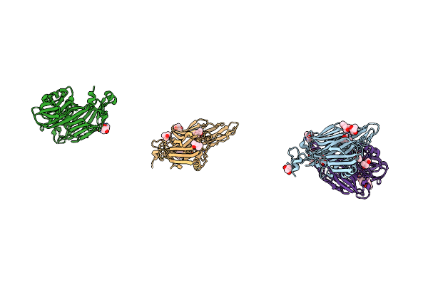 2BBD image