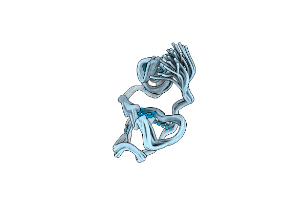 2BBG image
