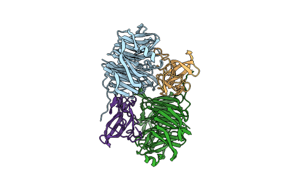 2BBK image