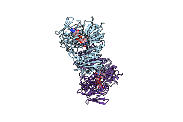 2BC1 image
