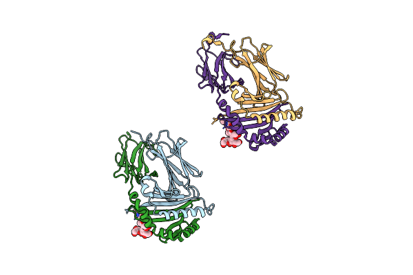 2BC4 image