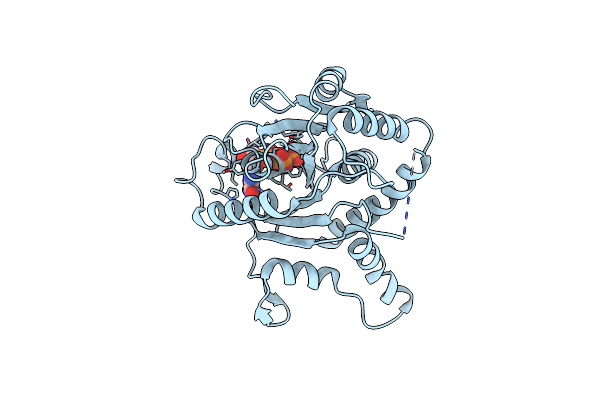 2BC9 image