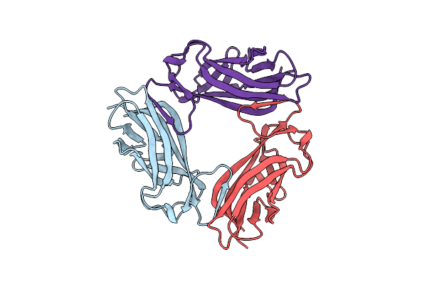 2BCM image