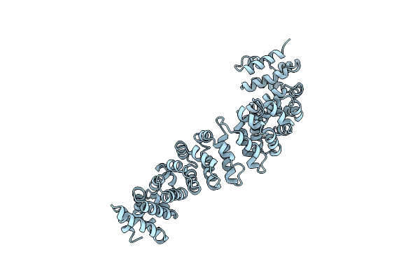 2BCT image