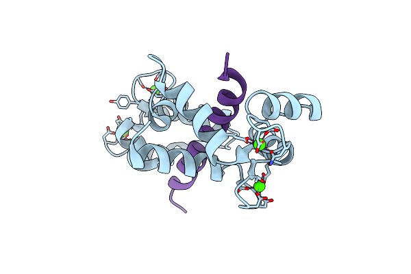 2BCX image
