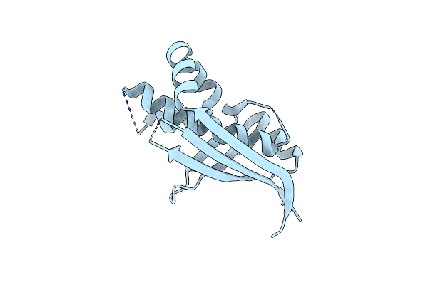 2BDD image