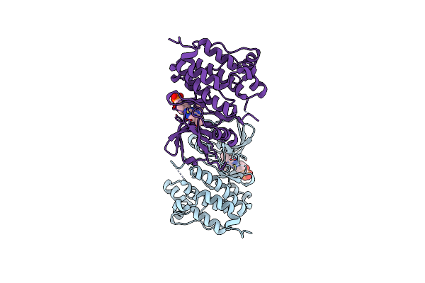 2BDF image