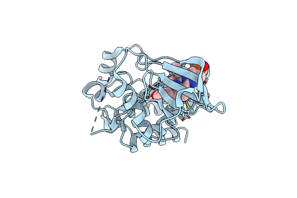 2BDJ image