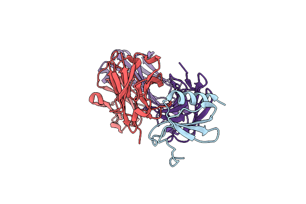 2BDN image