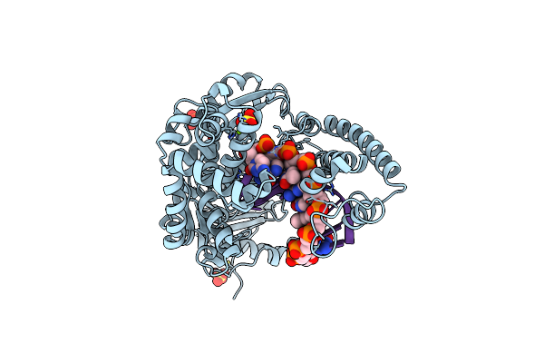 2BDP image