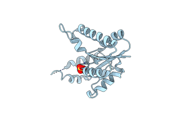 2BDT image