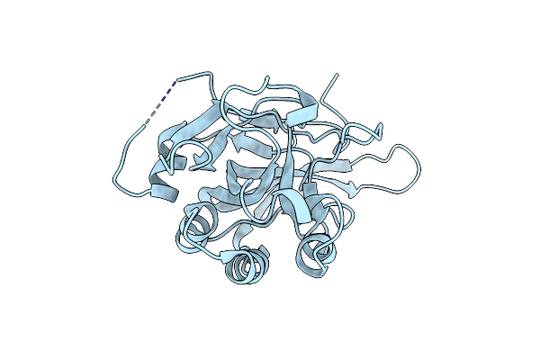 2BDV image
