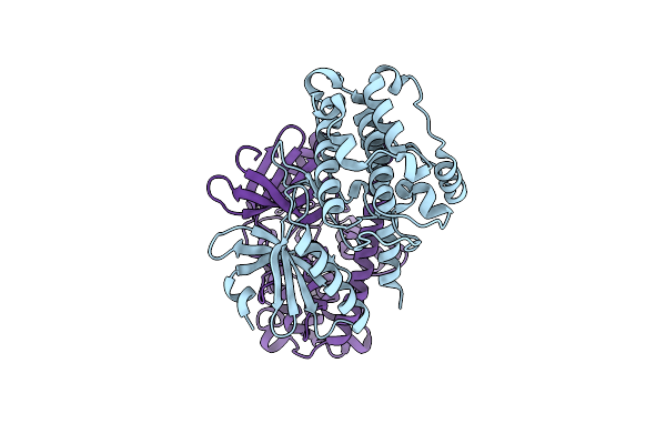 2BDW image