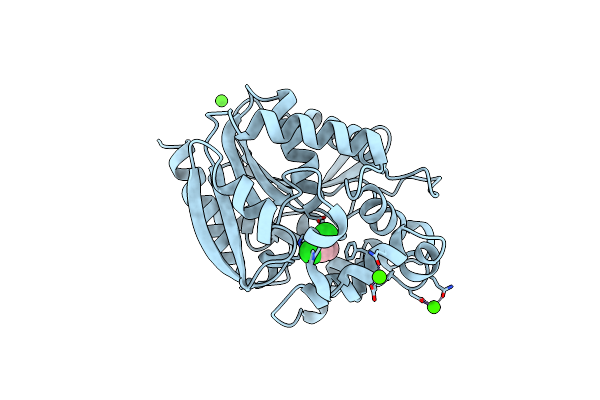 2BFN image