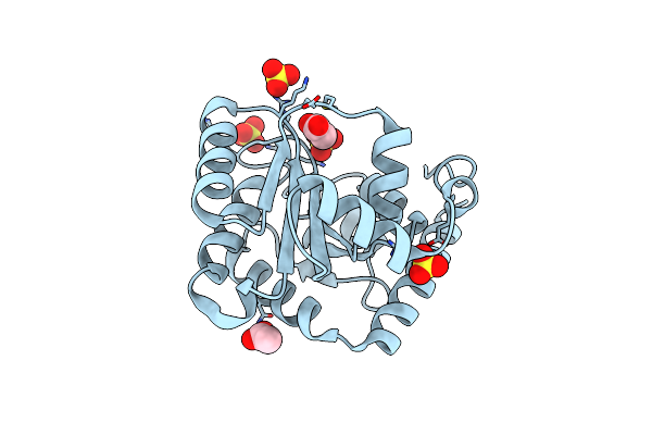 2BFW image
