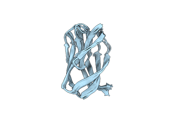 2BGP image