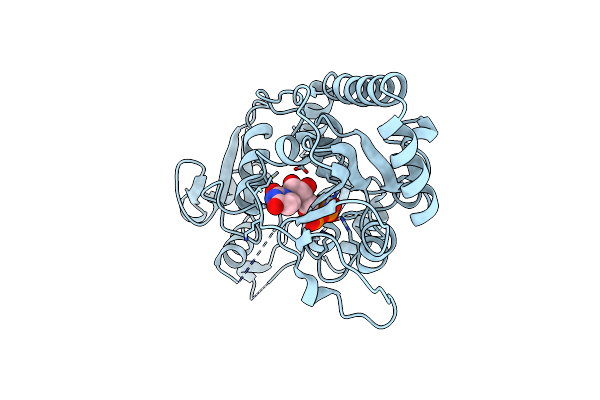 2BGU image