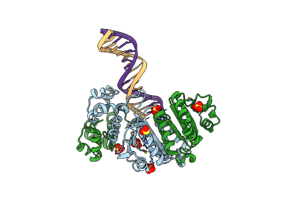 2BGW image