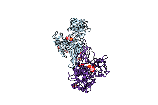 2BHL image