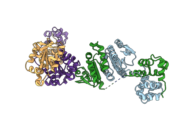 2BHN image