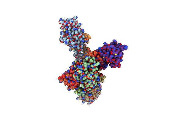 2BHV image