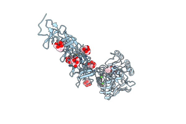 2BIB image