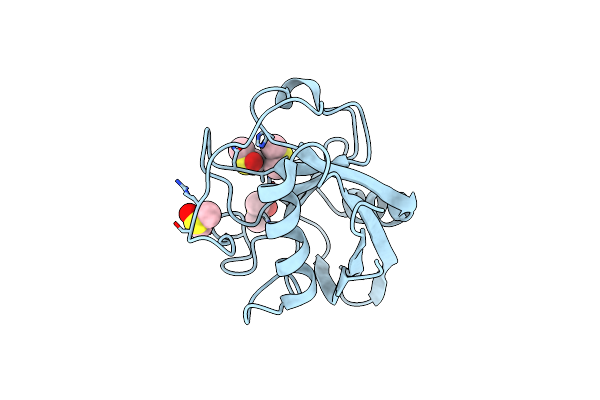 2BIU image