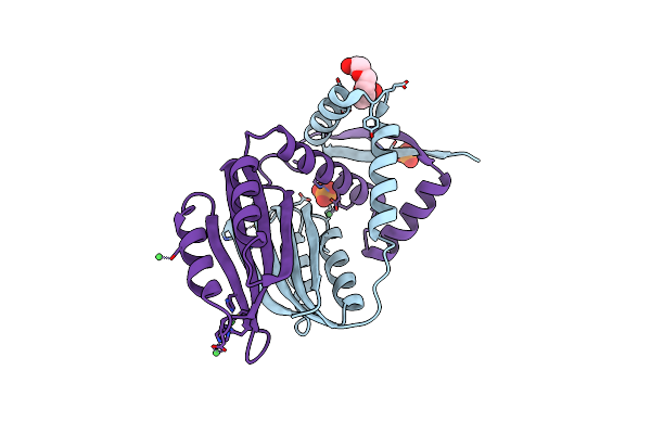2BJ9 image